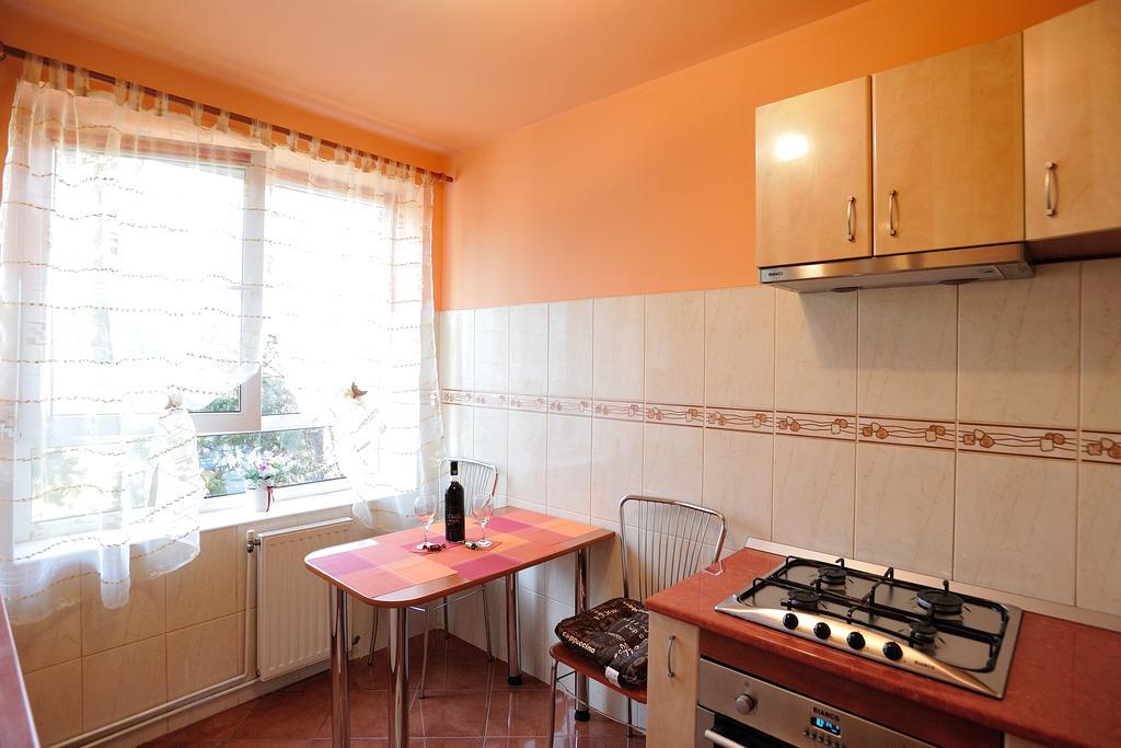 Stephanie Apartment Брашов Экстерьер фото
